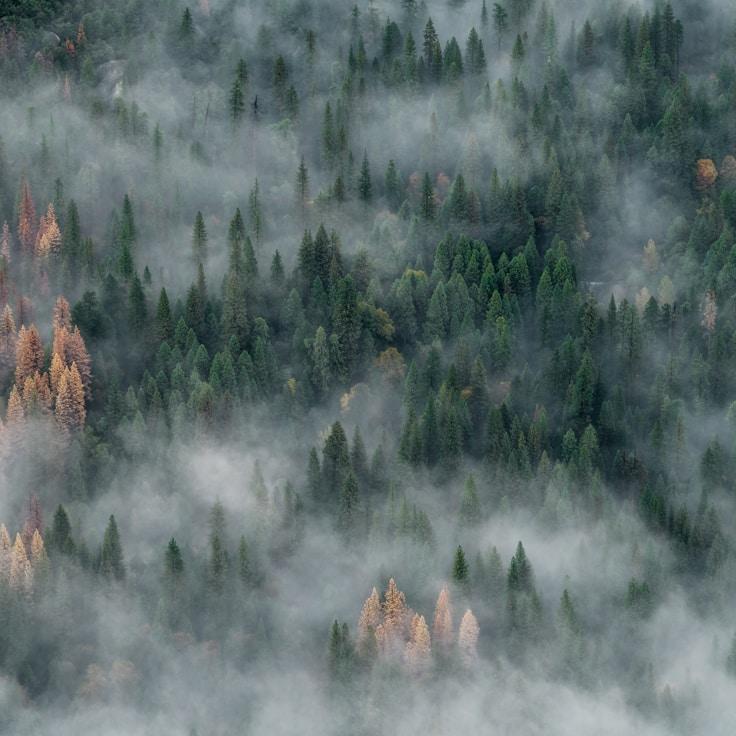 Nature travel hero image